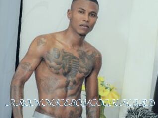 ARON_NICEBOY_COCK_HARD