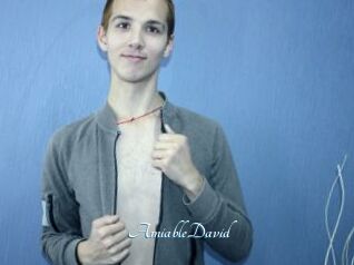 AmiableDavid