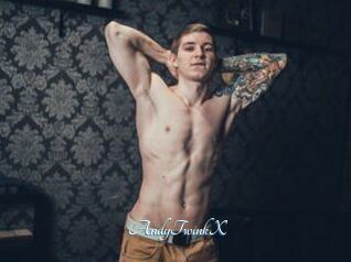 AndyTwinkX
