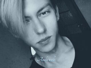 Andy_wells