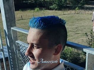 Anto013216