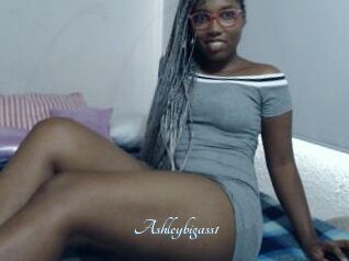 Ashleybigass1