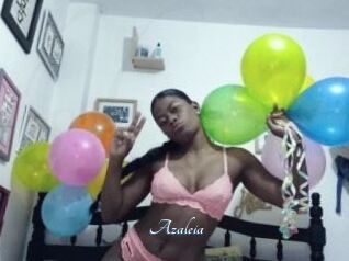 Azaleia