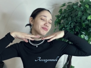 Accagammell