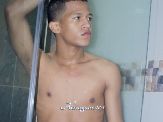 Alexaguirre101