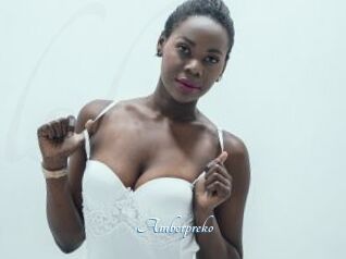 Amberpreko