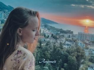 Amismett