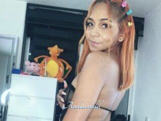 Analiamodel
