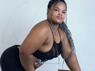 Andreinatapias