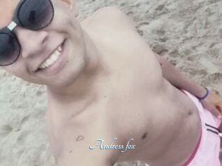 Andress_fox