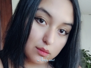 Andy_sout