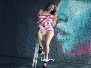 Anitakatie