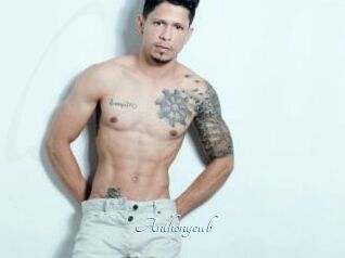 Anthonycub
