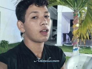 Antonellaconors