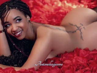 Antonellaguerra