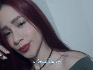 Antonellamontejo