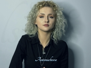 Antoniabeese