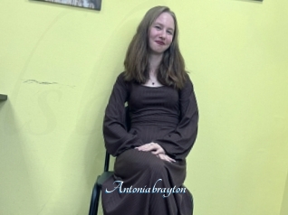 Antoniabrayton