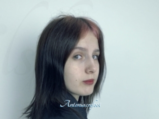 Antoniacrofoot