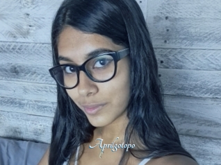 Aprilgotopo