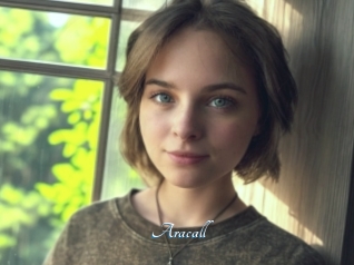 Aracall