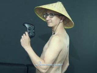 Assassins_gamer