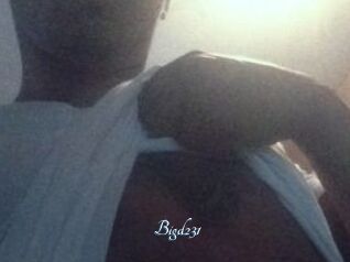 Bigd231