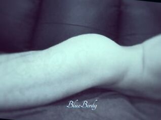 BlueBirdy
