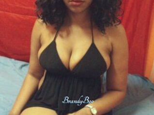 BrandyBoo