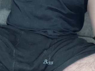 Bc333