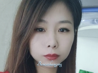 Bericezhangjing