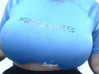 Boobycat