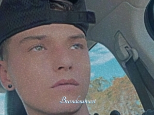 Brandonsmart