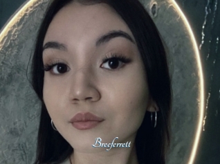 Breeferrett