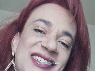 Brunellaswan