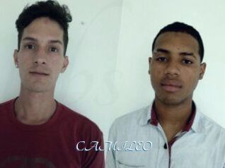 CAMI_LEO