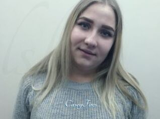 CaseyFires