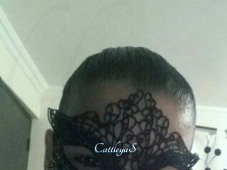 Cattleya_S