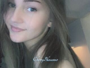CherryBlossom0