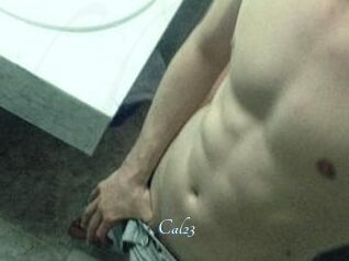 Cal23