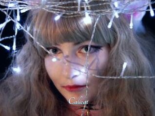 Calicat