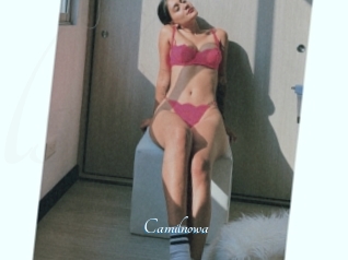 Camilnowa