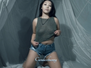 Candicebunny