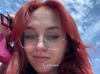 Catecovil