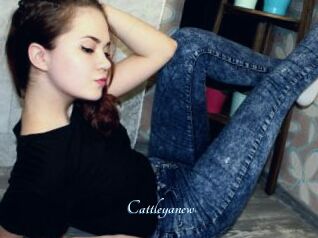 Cattleyanew