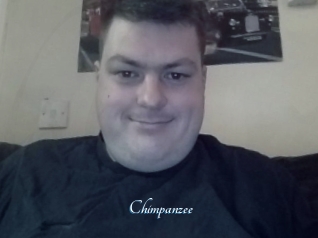 Chimpanzee