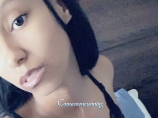 Cinnamoncunning