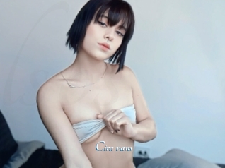 Cira_vans