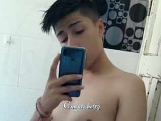 Conejito_hot19