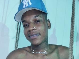 Cutteteddy